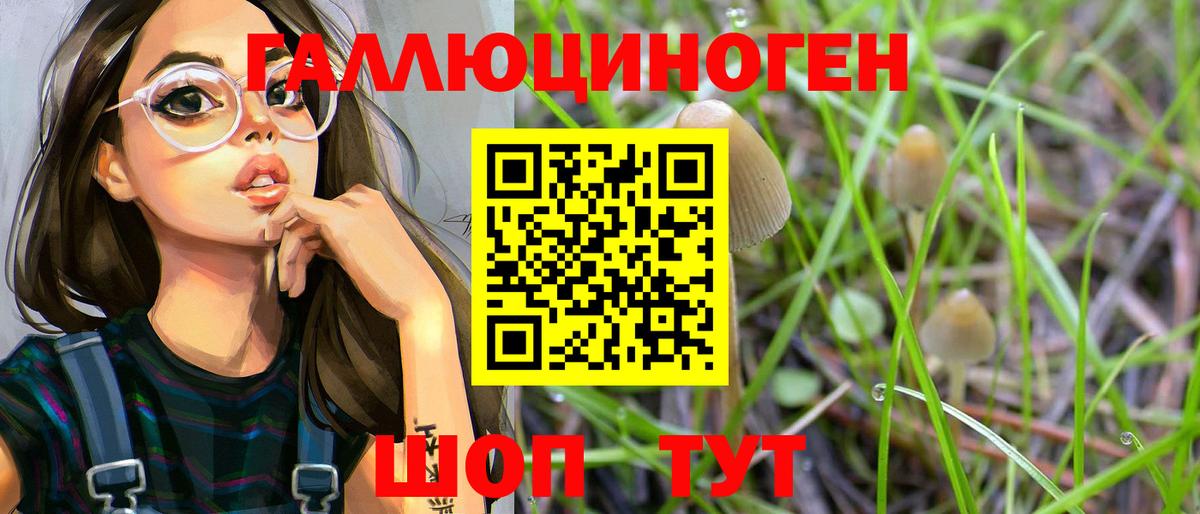 Галлюциногенные грибы MAGIC MUSHROOMS Кизляр